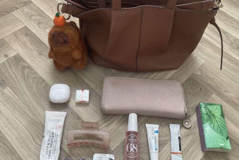my everyday handbag