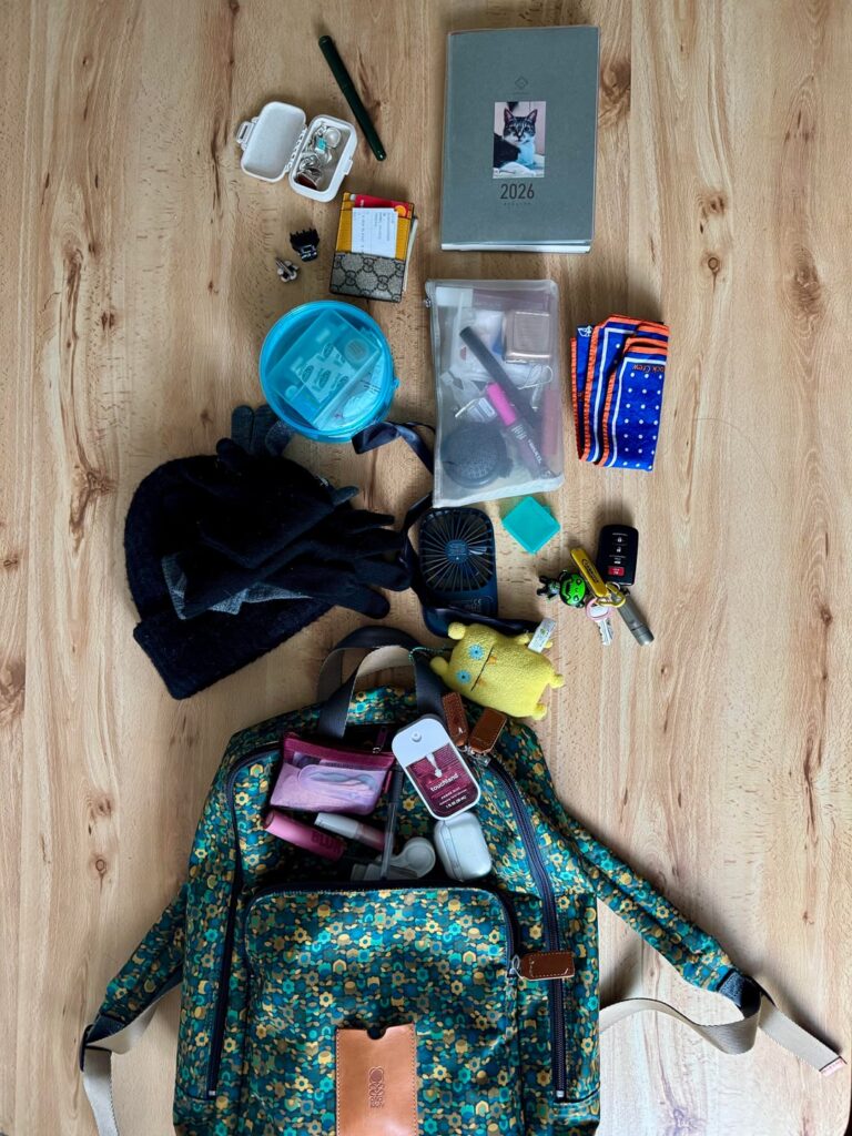 my trekking-to-the-office bag