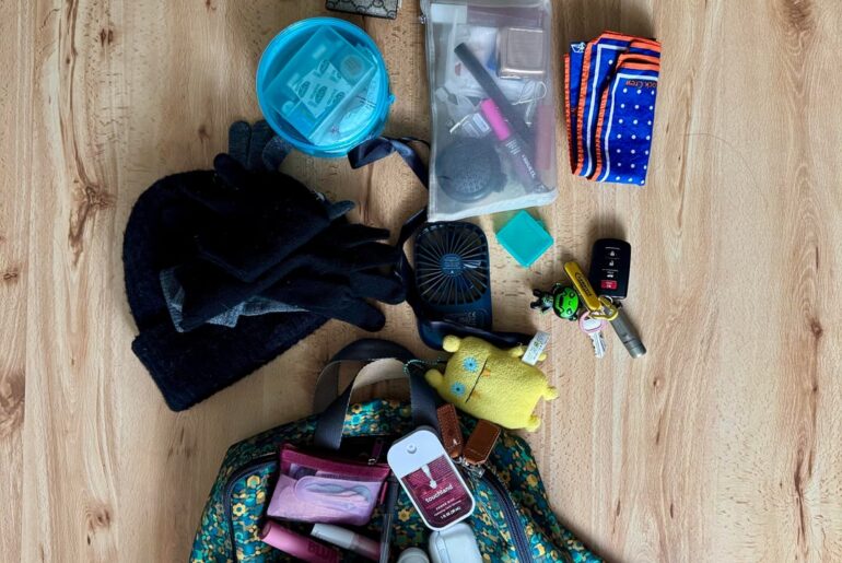 my trekking-to-the-office bag