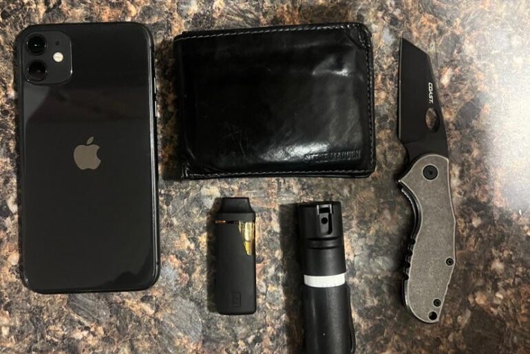 What I carry mostly* everyday