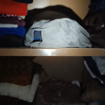 Every flashlight MUST have a moonlight mode.