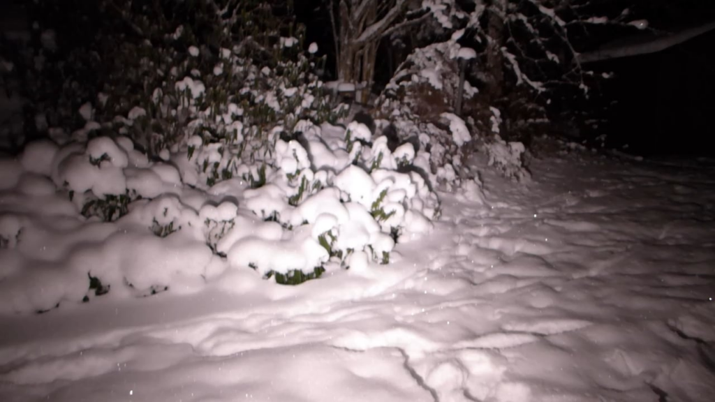 Dual-channel auto tint demo