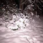 Dual-channel auto tint demo