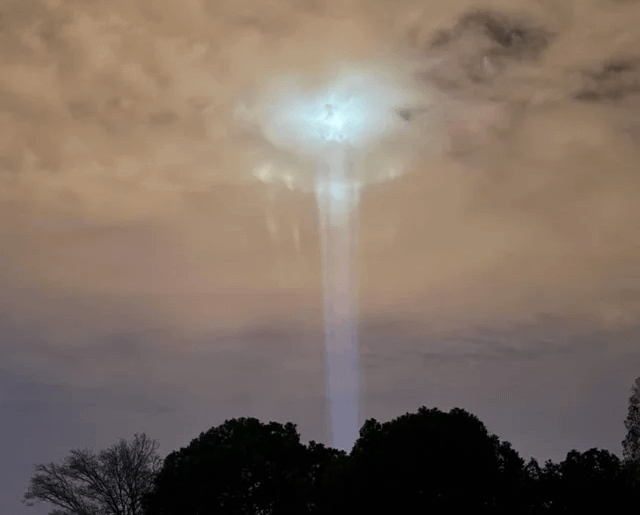 which one of you was this?