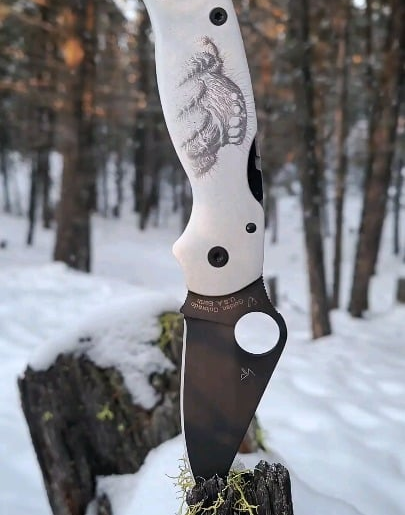 Jumping spider scales on the Spyderco Para 3