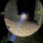 Finally caved and purchased a SBT90.2 emitter. The Noctigon K1 is far too much fun for these irresponsible hands.