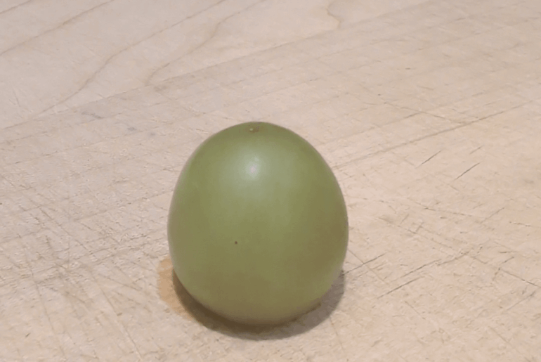 Is this sharp enough 🤔