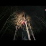 When 2 hobbies colide : )