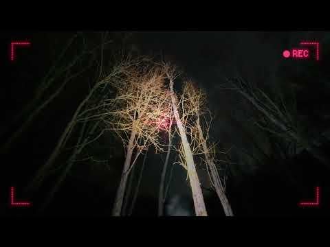 When 2 hobbies colide : )