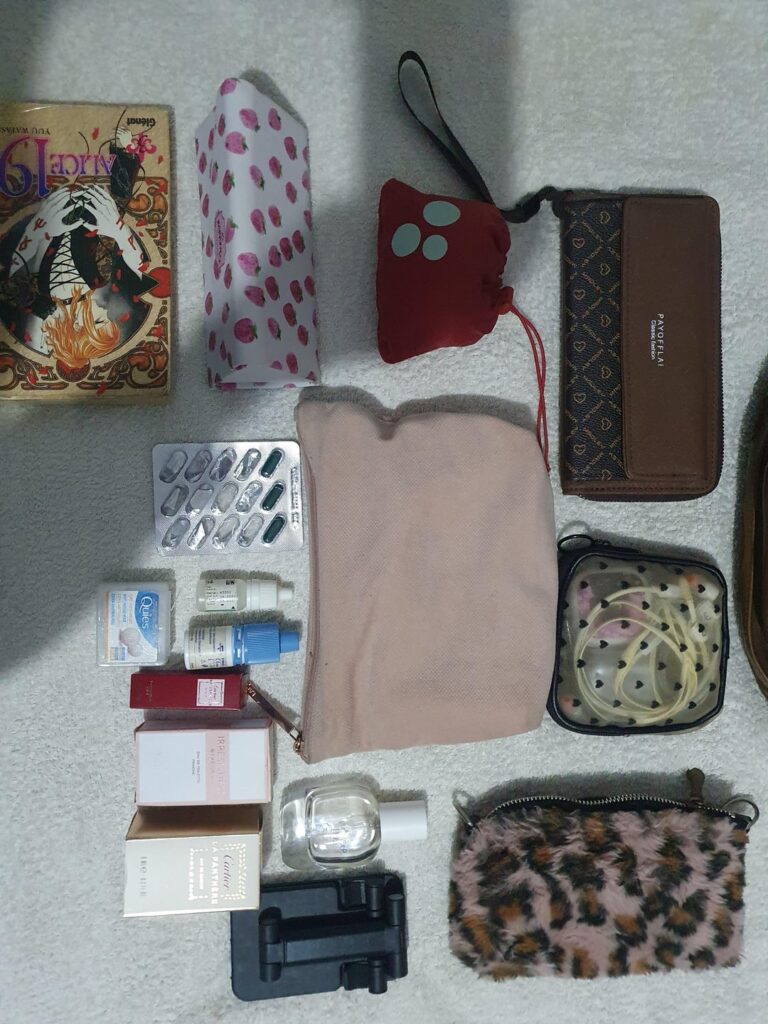 My turn ! Please ignore the shi* lighting 😅 what does this say about me ? Be ruthless and don't spare my feelings Same content, diffrent bags