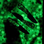 Gents, your thoughts on lume carbon fiber scales?