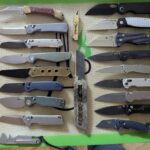 my fledgling collection