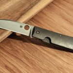 My Swayback is no pocket princess