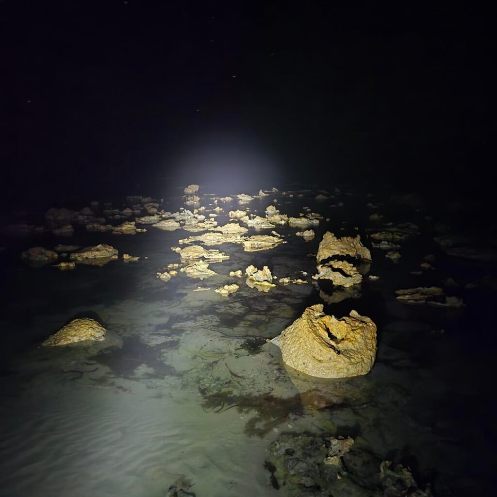 Turning nightime to daytime with the pure beam!