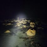 Turning nightime to daytime with the pure beam!