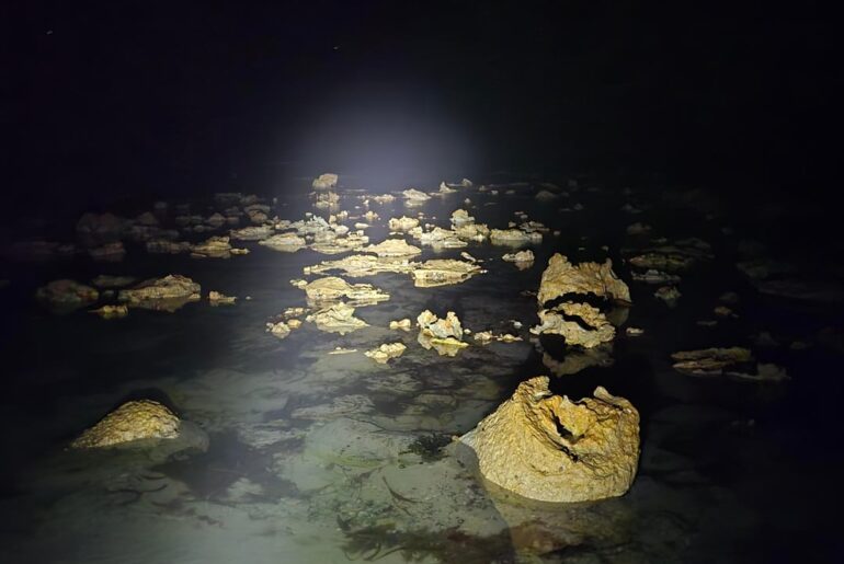 Turning nightime to daytime with the pure beam!