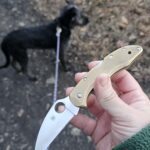 After-Work Dog Walks