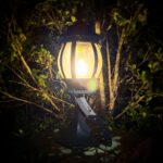 Today’s carry: the ROC Cleaver