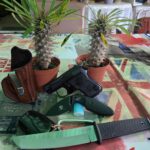 My travel buddies... (not the plants)