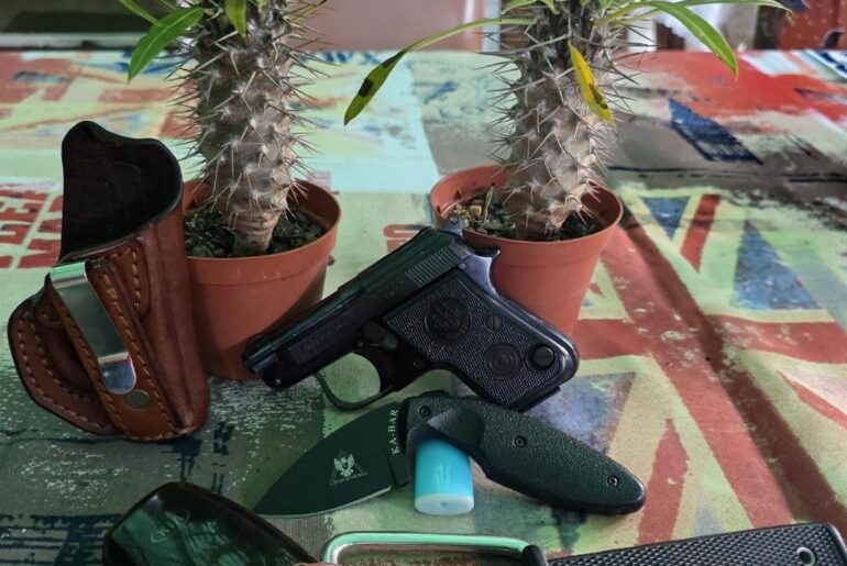 My travel buddies... (not the plants)