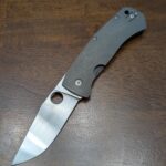 Slysz Bowie
