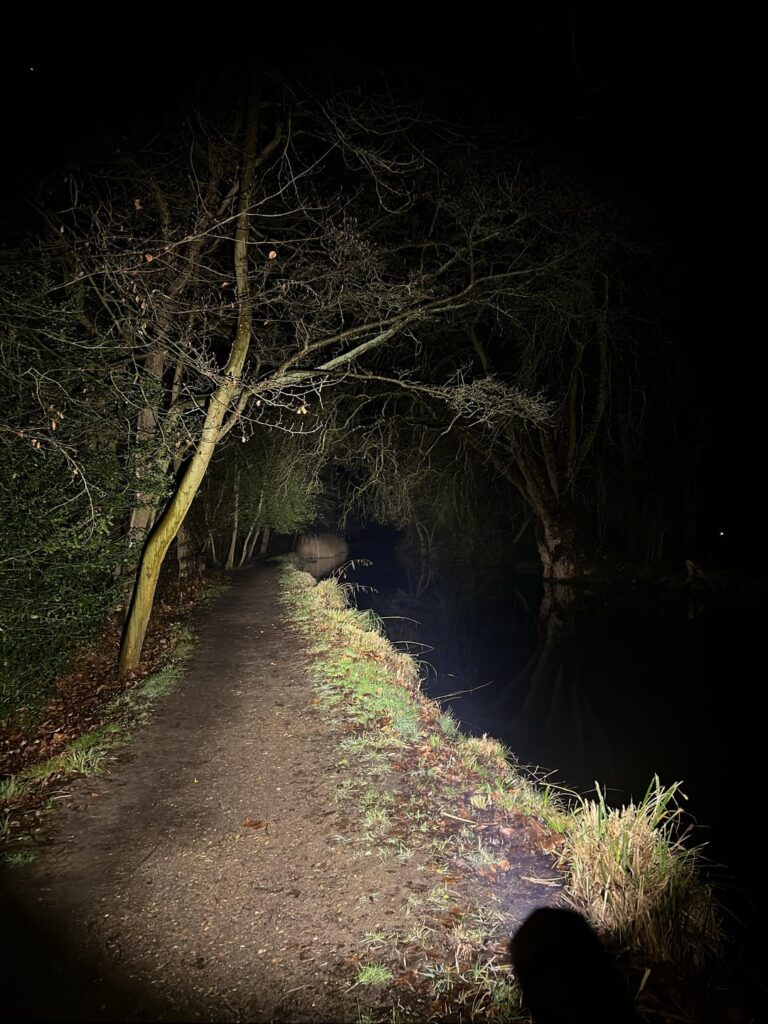 Needed some fresh air, took a canal walk and brought you all a little gift 🫘