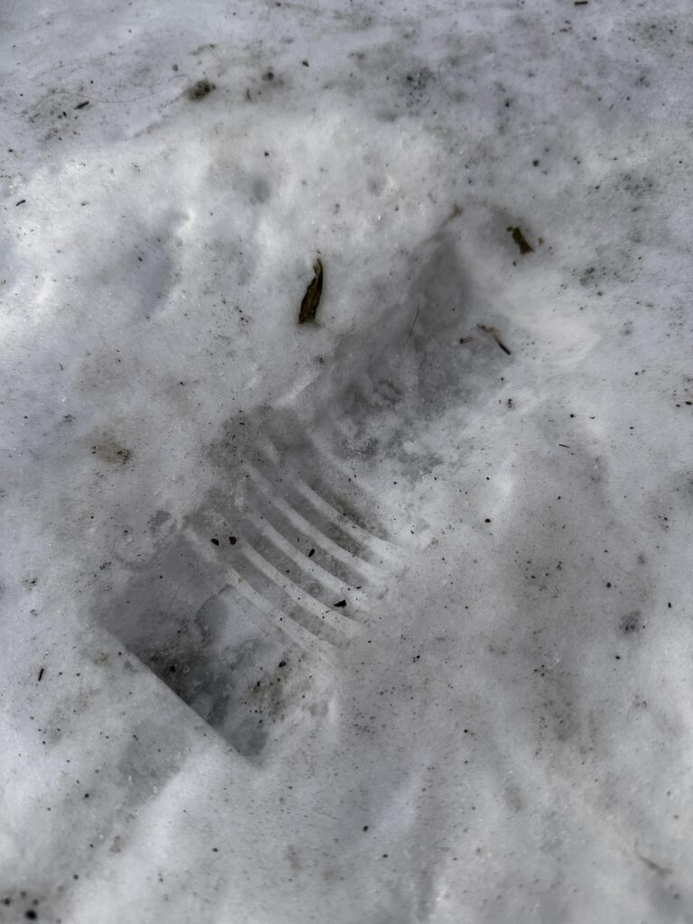 Guess the flashlight I left in the snow