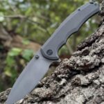 WE Knife Co Praxis 20CV/Titanium Kaviso Exclusive