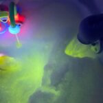 Florescent bath time