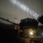 Hank ring button update and some rainy cali beans!