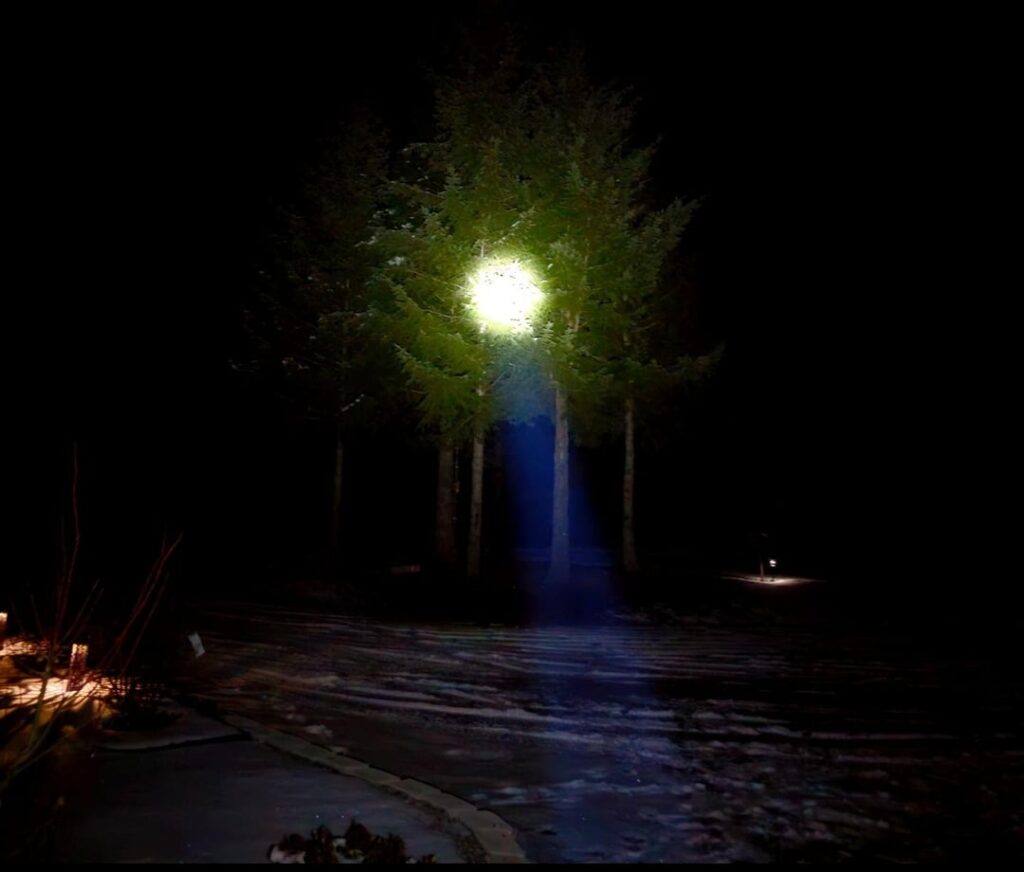 Wurkkos TD01C Beamshots