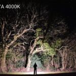 🫘 of the D4K mule builds from my previous post!