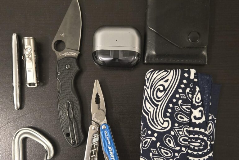 Fisher space pen , Rovyvon flashlight, Black Diamond carabiner, Spyderco para 3 lightweight, Leatherman Juice,Sin City Wallet,Samsung Buds👌