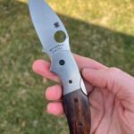 Spyderco’s GOAT? Sage 4