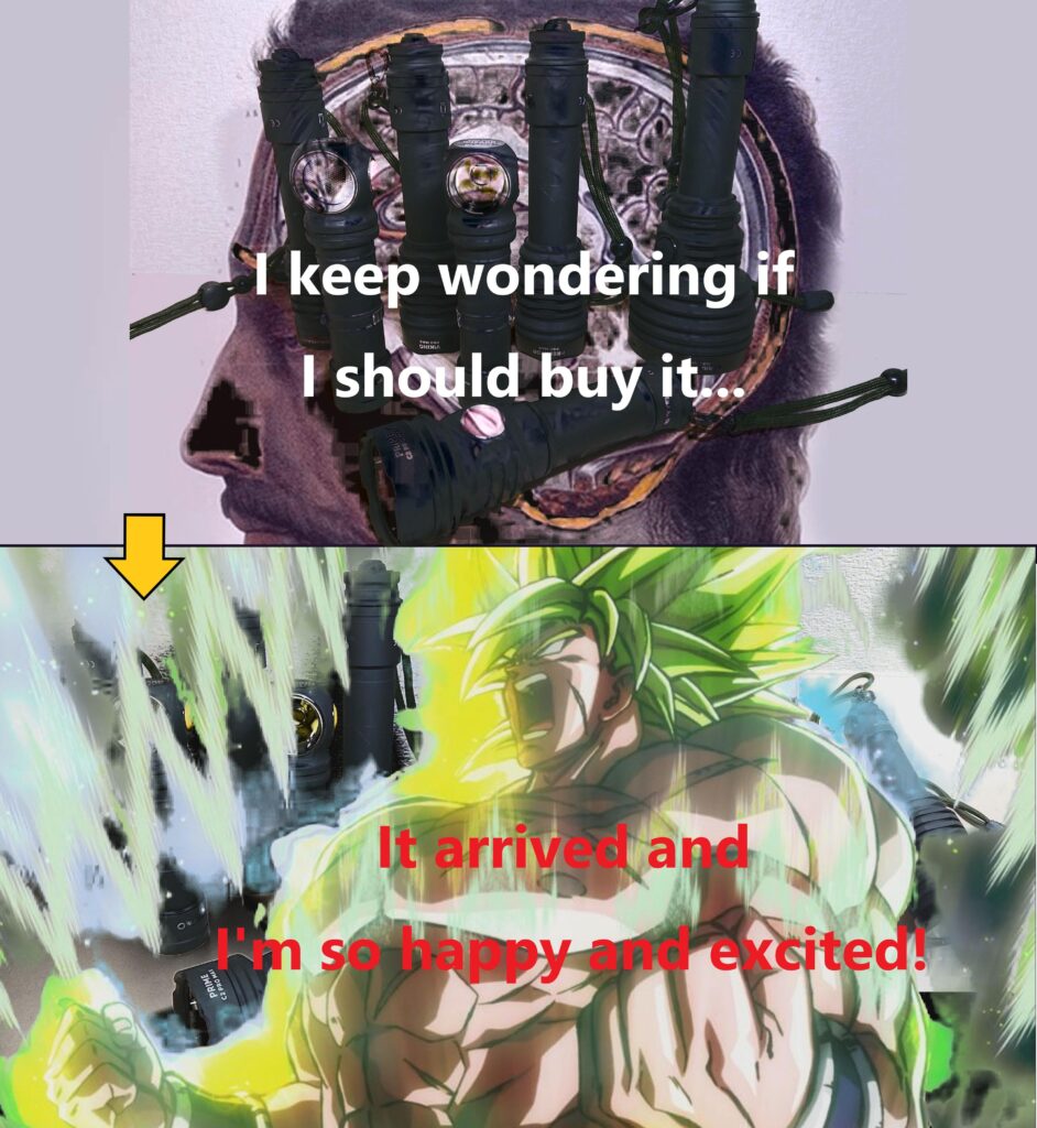 How did you feel when you finally got the flashlight you wanted?