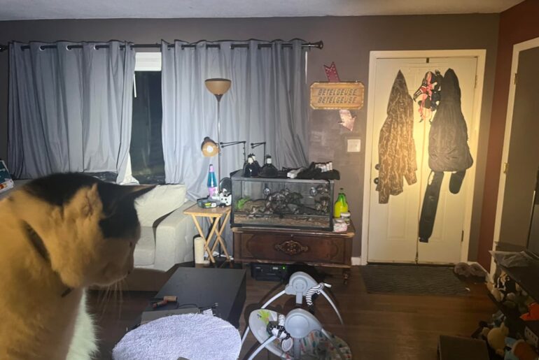 S2+ vs S6 Beam shots