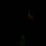 Some Bean shots from the light in my previous post (Convoy S6 SFT40 3000k)