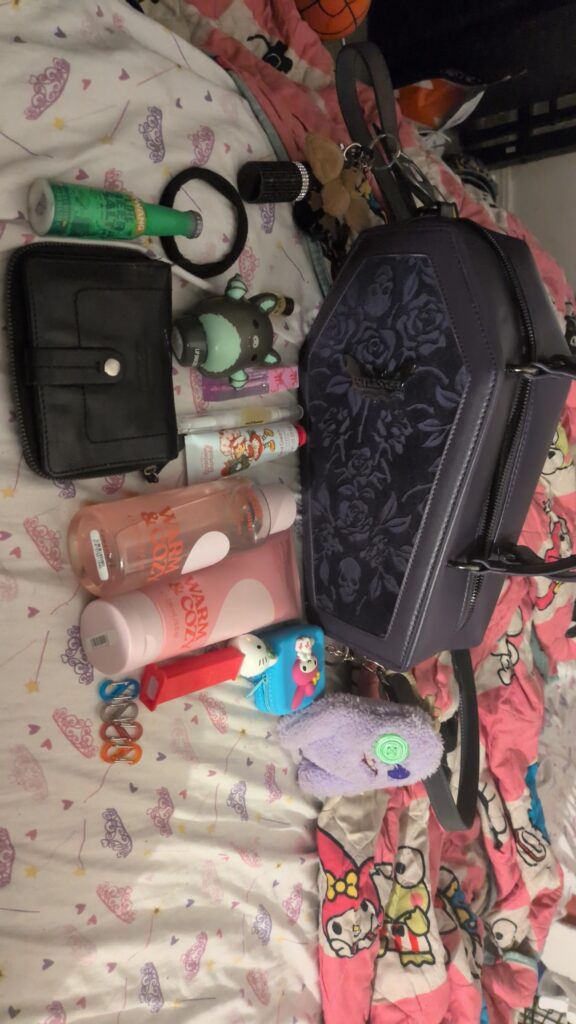 My daily purse(please assume)