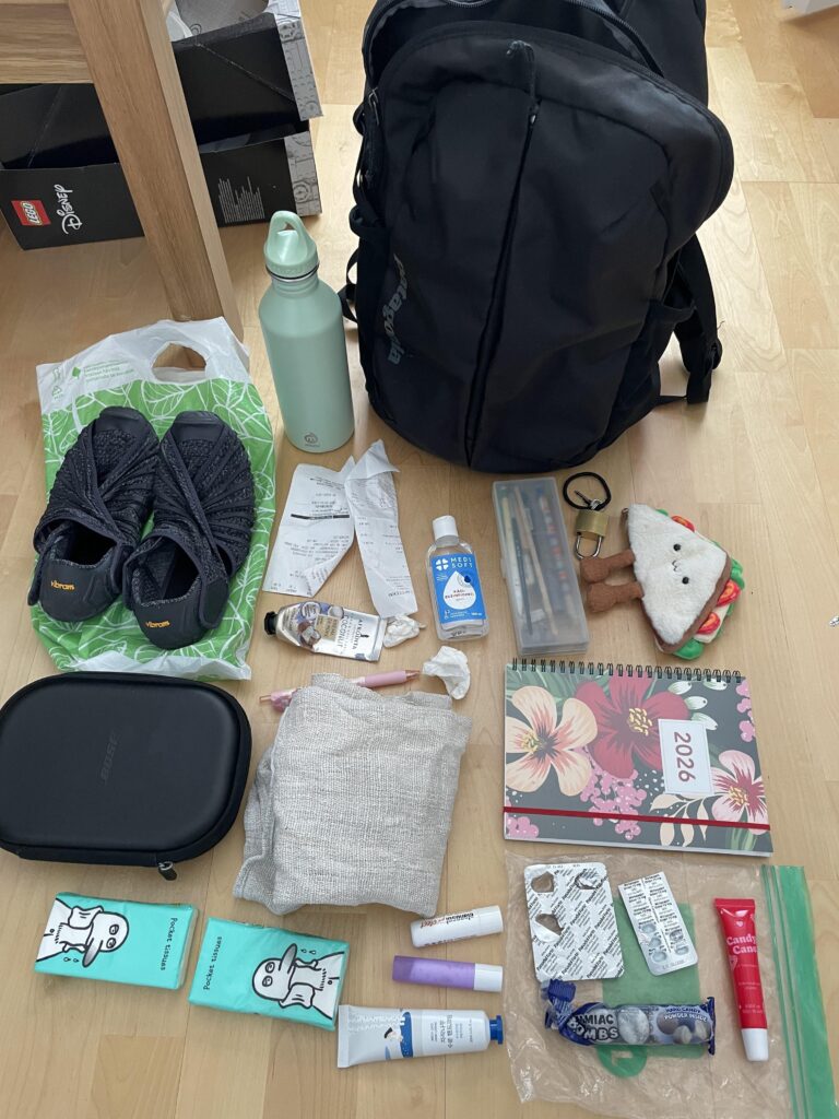 My gym/everyday bag