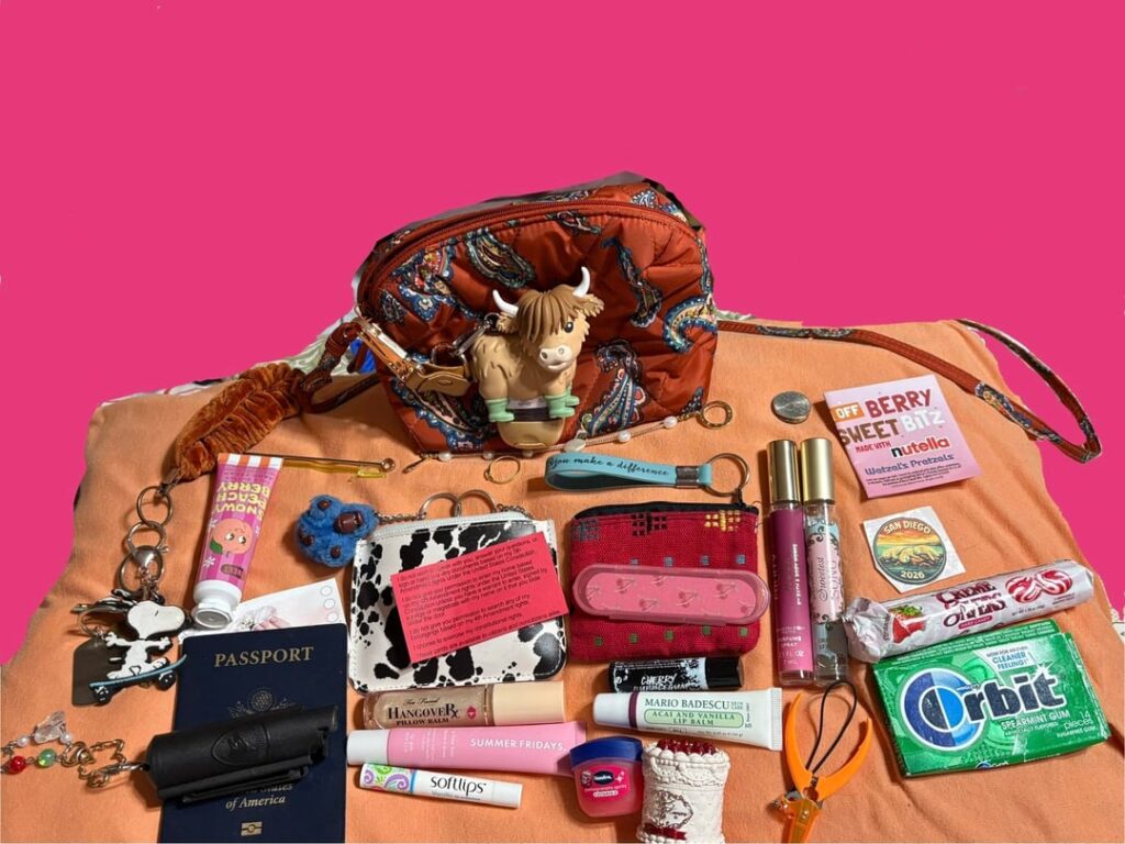 I’ve always wanted to do this and I’m switching bags, so it’s now or never!