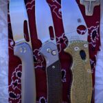 Happy Thursday! Daily Carries Check … what have you got today?