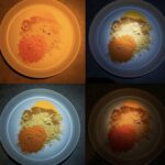 Tikka Masala CRI & CCT - LHP73b 1,800k/SFT25r 6,500k/XML 6,500k/Incandescent