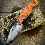 Tortuga buccaneer San ma