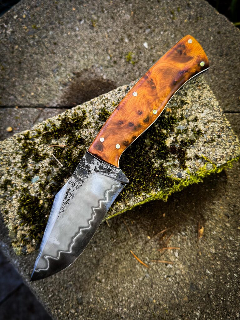 Tortuga buccaneer San ma