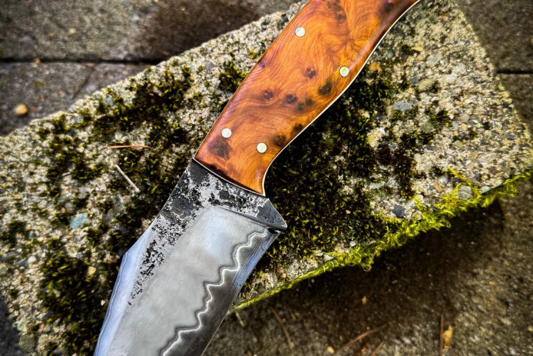 Tortuga buccaneer San ma