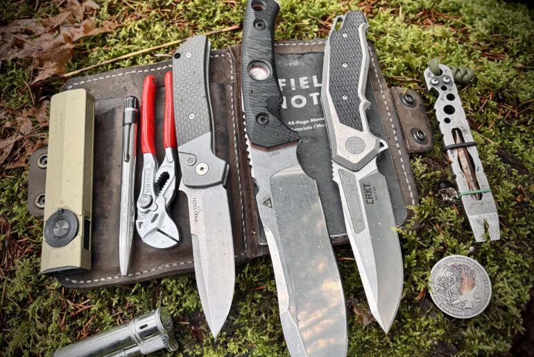 Friday in the Forest