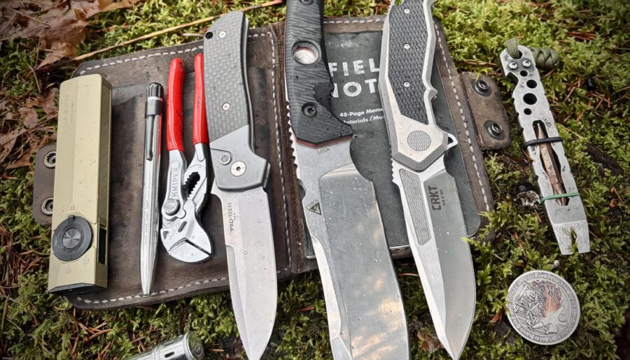 Friday in the Forest