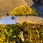 Sage 6 with bronze AWT scales