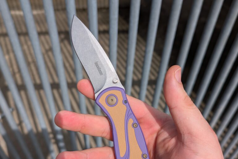 NKD - SMKW exclusive Kershaw Blur -Magnacut