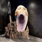 What do we think about the knife holder lol?